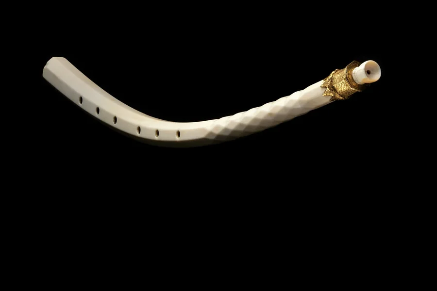 Un cornet à bouquin en ivoire, courbe, percé de trous, sur fond noir